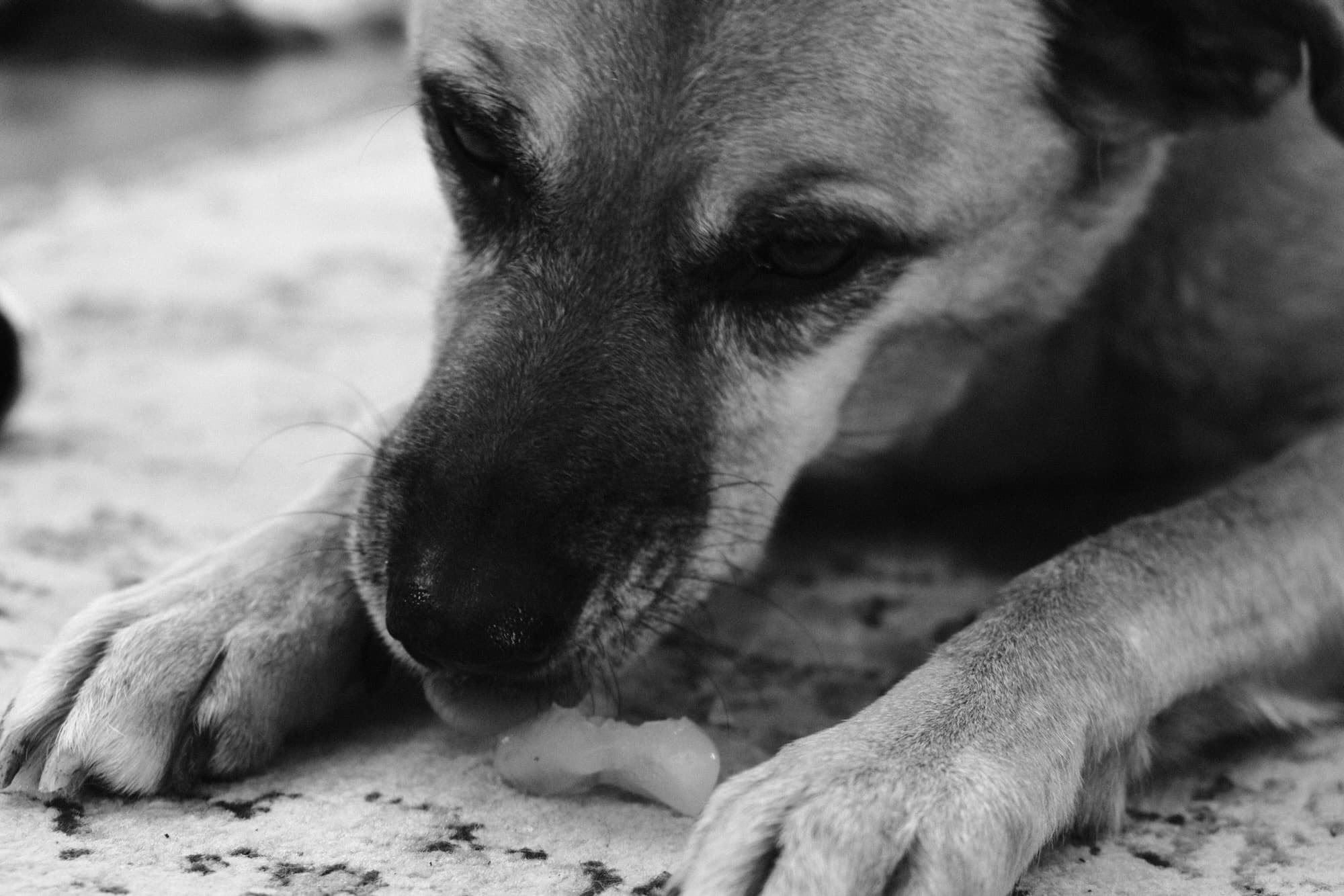 Friday, January 9, 2026 (3/3)