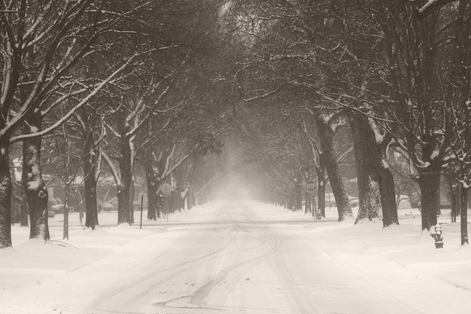 Sunday, January 25, 2026