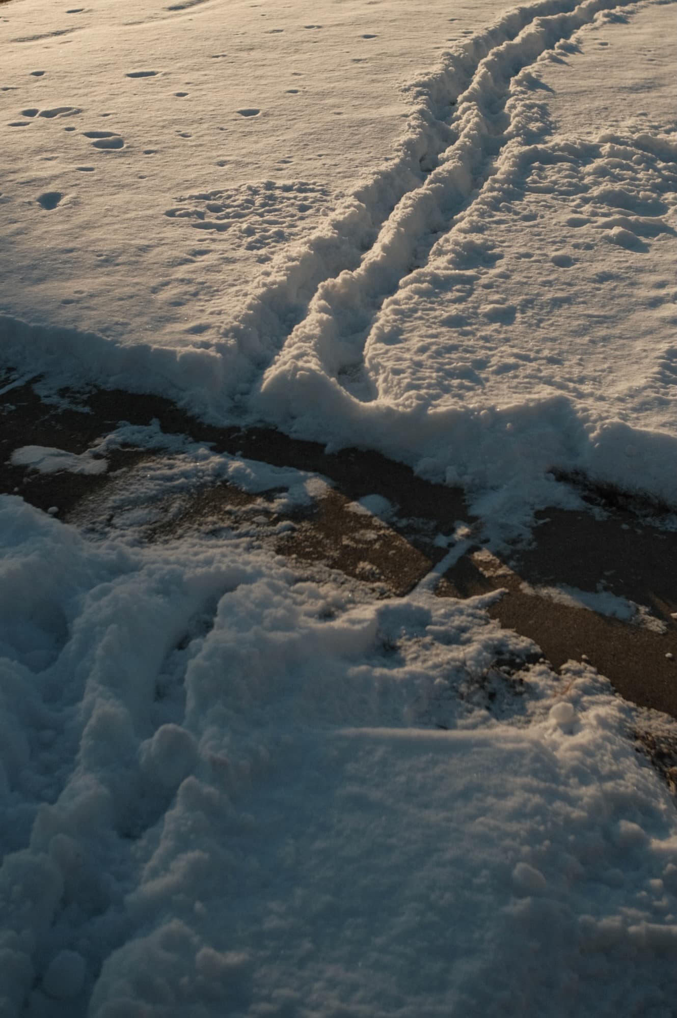 Monday, January 26, 2026