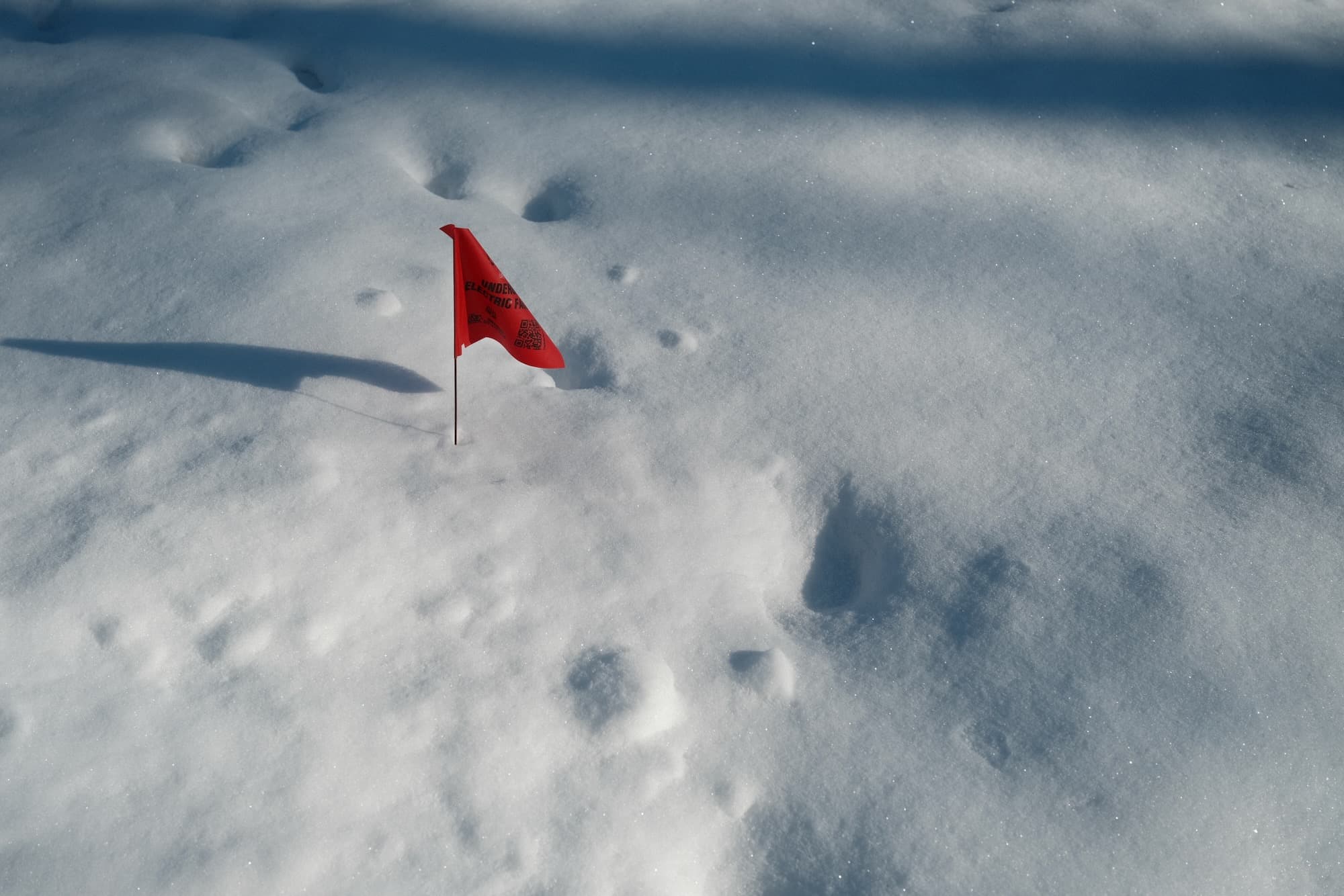 Sunday, February 1, 2026