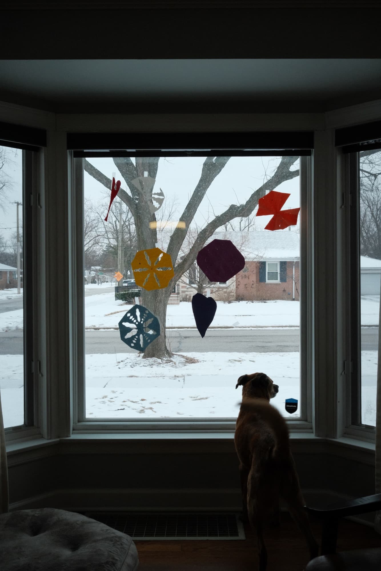 Friday, February 6, 2026