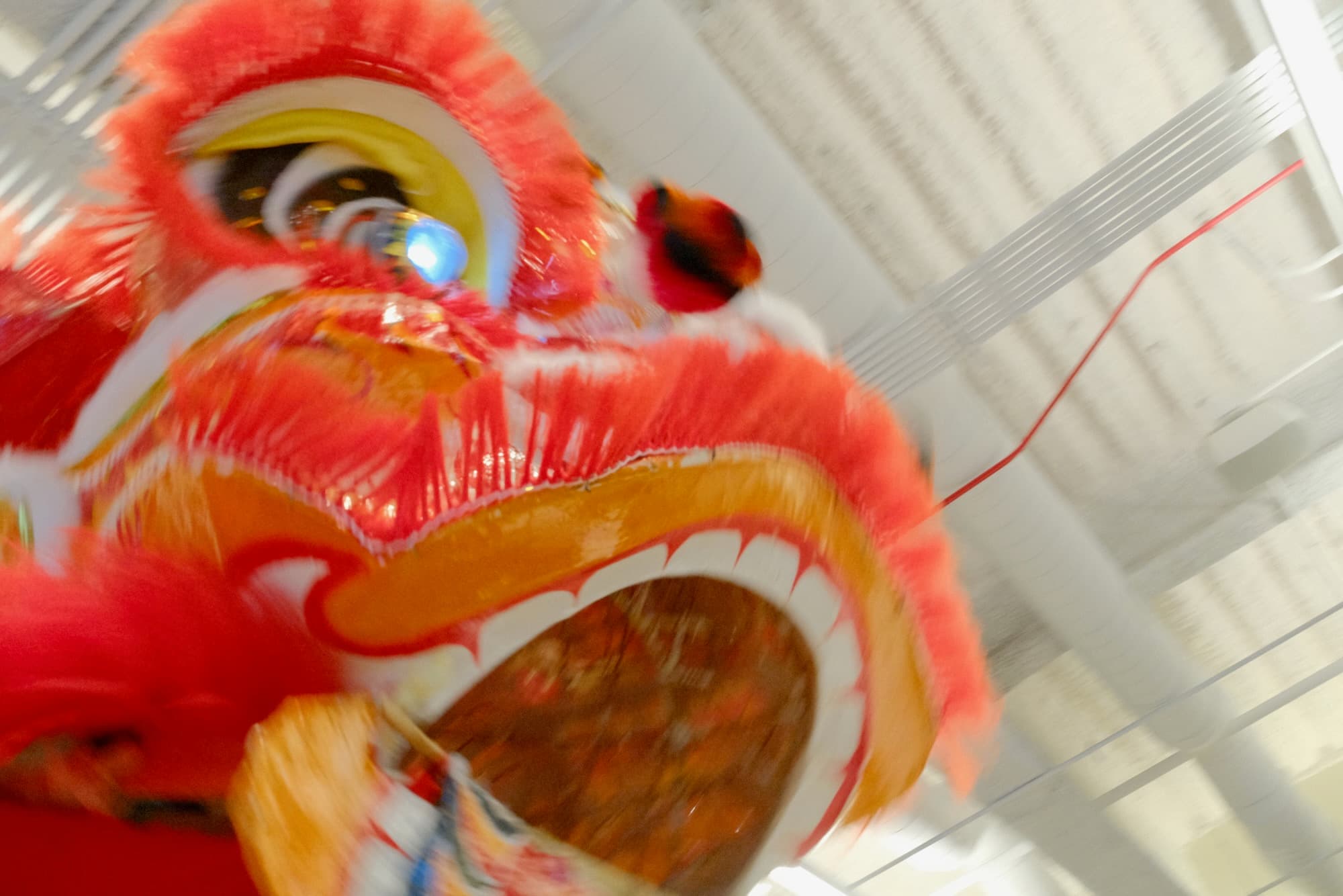 Thursday, February 19, 2026